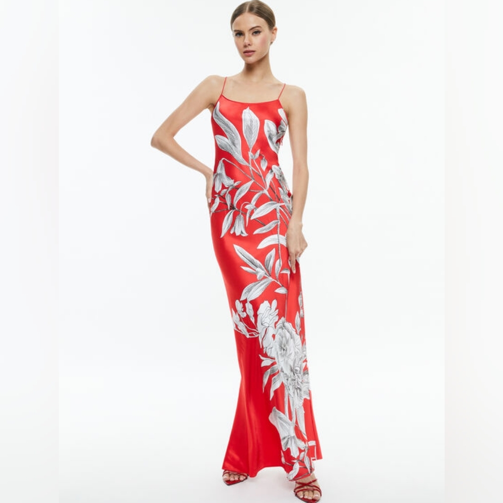 Alice + Olivia Red and White Dress